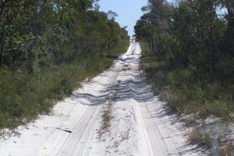 Stradbroke Island 4WD Day Trip From Brisbane - Accommodation Noosa 2