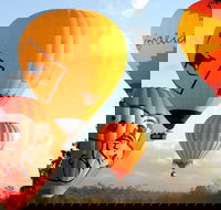 Natural Bridge  Springbrook Waterfalls Tour  Hot Air Balloon with Breakfast - Accommodation Noosa