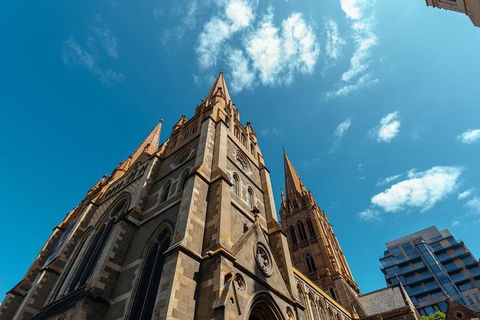 Highlights & Hidden Gems With Locals: Best Of Melbourne Private Tour - Accommodation Noosa 4