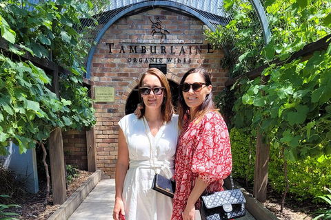 Hideaway Private Tours Hunter Valley- Indulgence Wine Tour (Full Day) - Accommodation Noosa 5
