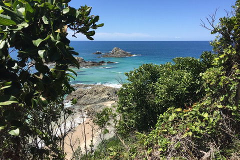 Behind The Bay - Explore Like A Local - Accommodation Noosa 1
