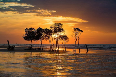Delightful Darwin Self-Guided Audio Tour - Accommodation Noosa 3