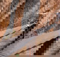 Chillagoe Caves and Outback Day Trip from Cairns - Accommodation Noosa