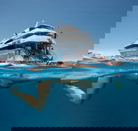 3 Day Great Barrier Reef Daintree Rainforest and Outback Chillagoe Tour - Accommodation Noosa