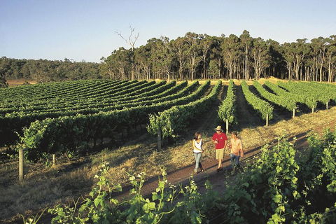 Margaret River, Caves, Wine And Cape Leeuwin Lighthouse Tour From Perth - Accommodation Noosa 1
