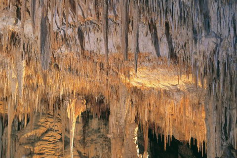 Margaret River, Caves, Wine And Cape Leeuwin Lighthouse Tour From Perth - Accommodation Noosa 3
