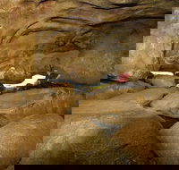 2-Day Wave Rock York Wildflowers  Aboriginal Experience - Accommodation Noosa