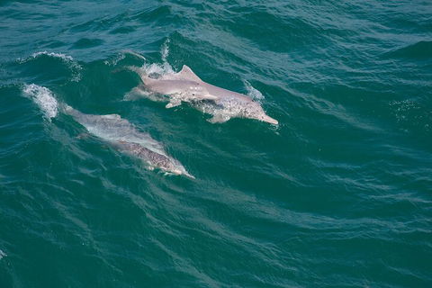 North Stradbroke Island Private Tour With Pickup - Accommodation Noosa 0