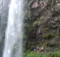 Springbrook National Park Discovery Full-Day Bushwalking Tour - Accommodation Noosa