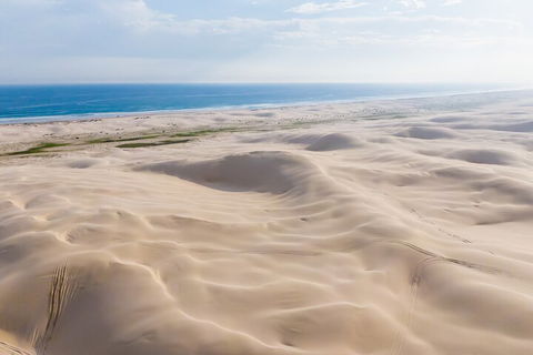 Port Stephens Bush, Beach And Sand Dune 4WD Passenger Tour - Accommodation Noosa 2