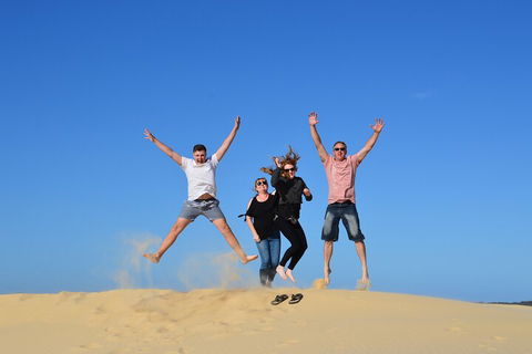 Port Stephens Bush, Beach And Sand Dune 4WD Passenger Tour - Accommodation Noosa 3