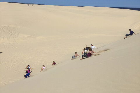 Port Stephens Bush, Beach And Sand Dune 4WD Passenger Tour - Accommodation Noosa 4