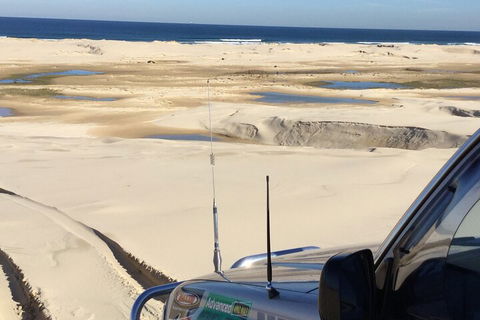 Port Stephens Bush, Beach And Sand Dune 4WD Passenger Tour - Accommodation Noosa 5