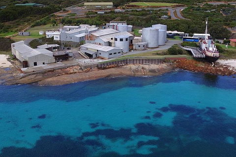 Albany's Whale Story - Accommodation Noosa 4