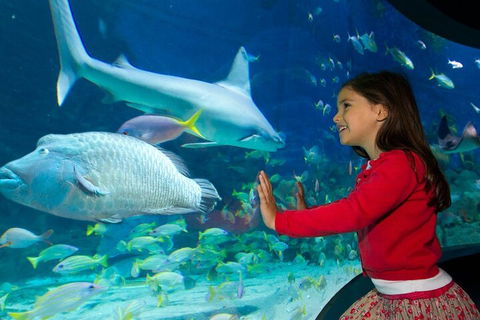 Melbourne BIG Ticket - LEGOLAND Discovery And SEA LIFE Melbourne - Accommodation Noosa 1