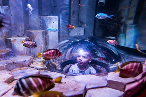 Melbourne BIG Ticket - LEGOLAND Discovery And SEA LIFE Melbourne - Accommodation Noosa 5