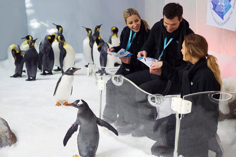 Penguin Passport At SEA LIFE Melbourne Aquarium - Accommodation Noosa 5