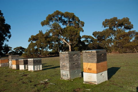 Fine Flavours - Full Day Kangaroo Island Food & Wine Tour - Accommodation Noosa 1