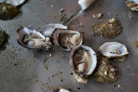 Fine Flavours - Full Day Kangaroo Island Food & Wine Tour - Accommodation Noosa 2