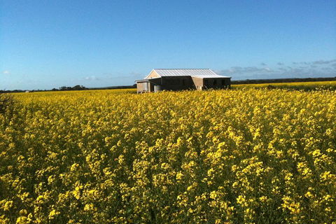 Fine Flavours - Full Day Kangaroo Island Food & Wine Tour - Accommodation Noosa 3