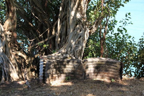 Darwin Walking Tour: World War II Reflections - Accommodation Noosa 3