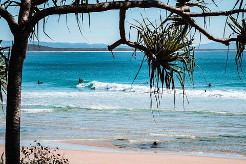 Sunshine Coast Hinterland And Noosa Day Trip From Brisbane Including Eumundi Markets And Ginger Factory - Accommodation Noosa 5