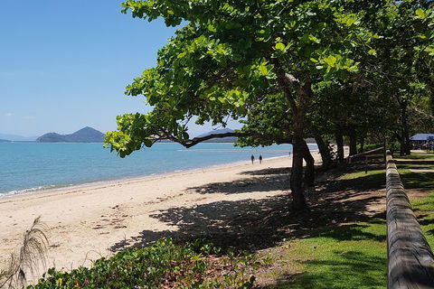 Small-Group Afternoon Cairns City Tour With Harbour Dinner Cruise - Accommodation Noosa 1