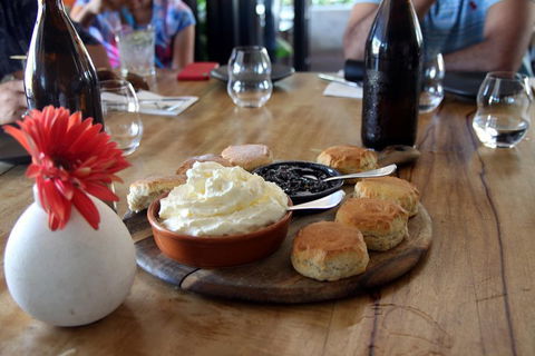 Small-Group Afternoon Cairns City Tour With Harbour Dinner Cruise - Accommodation Noosa 3