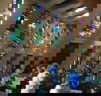 Cairns Shore Excursion Cairns City Sights  Surrounds Tour - Accommodation Noosa