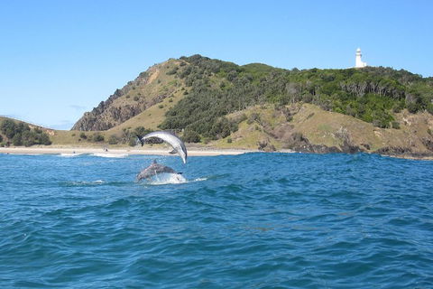 Kayaking With Dolphins In Byron Bay Guided Tour - Accommodation Noosa 0