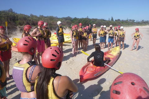 Kayaking With Dolphins In Byron Bay Guided Tour - Accommodation Noosa 2