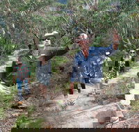 Small-Group Blue Mountains Tour with Bush Walks and Featherdale Wildlife Park