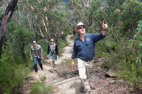 Small-Group Blue Mountains Tour With Bush Walks And Featherdale Wildlife Park - Accommodation Noosa 0