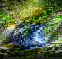 Day Tour in Mt. Field Mt. Wellington Bonorong Wildlife Sanctuary and Richmond - Accommodation Noosa
