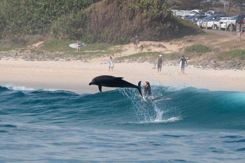 Cruise With Dolphins In Byron Bay - Accommodation Noosa 3