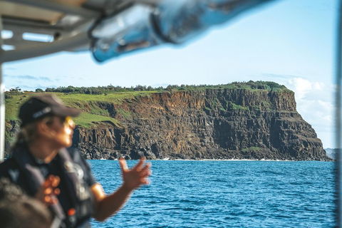 Cruise With Dolphins In Byron Bay - Accommodation Noosa 4