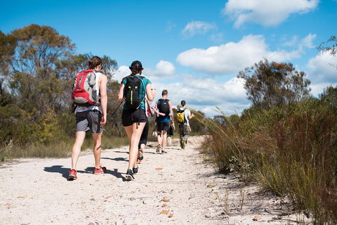 Pittwater Discovery Kayaking Tour - Accommodation Noosa 0
