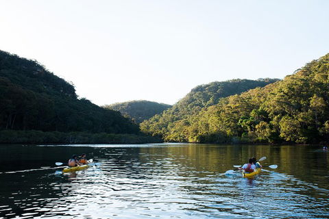 Pittwater Discovery Kayaking Tour - Accommodation Noosa 1