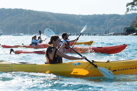 Pittwater Discovery Kayaking Tour - Accommodation Noosa 2