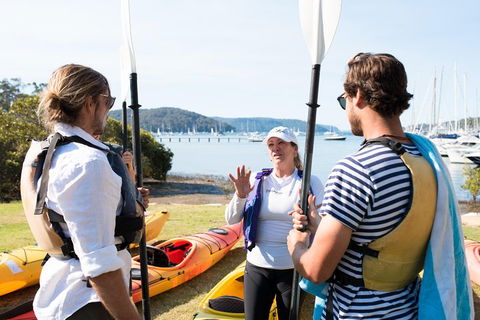 Pittwater Discovery Kayaking Tour - Accommodation Noosa 3