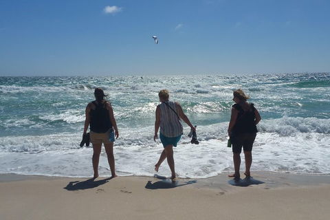 Very Best Of Perth Tour - Wildlife Park & City Highlights Tour - Accommodation Noosa 5