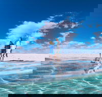 4-Day Coastal Loop via Monkey Mia Wild Dolphins Kalbarri Pinnacles Perth Return - Accommodation Noosa