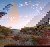 6-Day Coral Coaster from Perth to Exmouth One-Way via Monkey Mia Ningaloo Reef - Accommodation Noosa