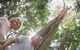 Sunshine Coast Private Scenic Guided Tour Inc. 2-Course Gourmet Lunch - thumb 1