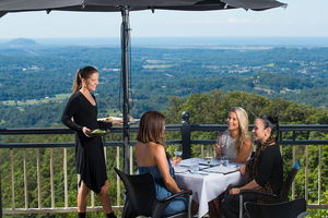 Sunshine Coast Hinterland Rainforest, Views and Montville Day Tour Inc. Lunch