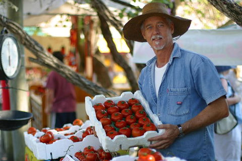Sunshine Coast Eumundi Markets Return Minibus Transfer - Accommodation Noosa 5
