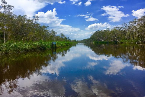 Noosa Everglades Serenity Cruise & Highlights Tour Inc. Lunch & Cruise - Accommodation Noosa 0