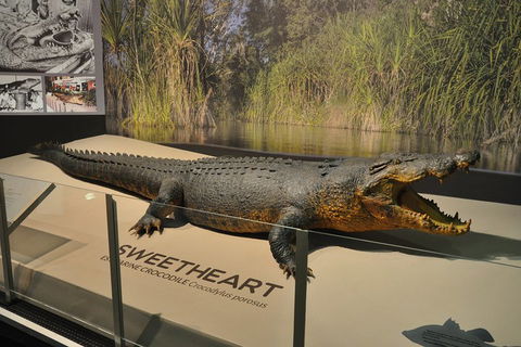 Explore Darwin City Sights Including Key Attractions - Accommodation Noosa 2