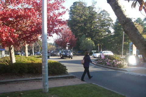 PRIVATE All-Day Blue Mountains Tour With Professional Guide For Up To 4 People - Accommodation Noosa 1