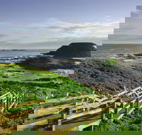 Full-Day Private Australian Wildlife Tour of Phillip Island - Accommodation Noosa